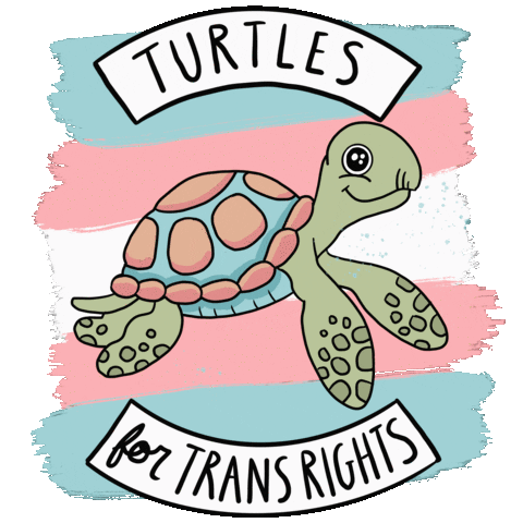Trans Day Of Visibility Gay Sticker by Fox Fisher