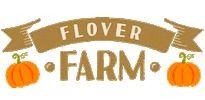 Autumn Pumpkin Sticker by Flover