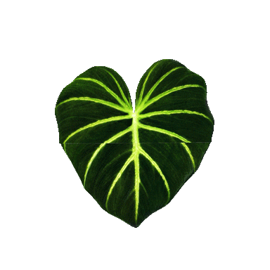 Plantastic Sticker