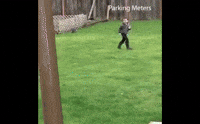 Goodbye Parking Meters. Love GrydPark.