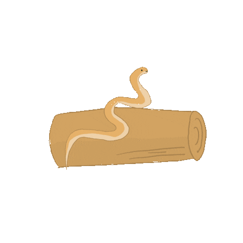 Animated Sticker