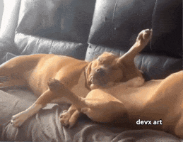 Dog Sleeping GIF by DevX Art
