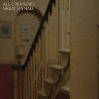 Door Looking GIF by All Creatures Great And Small