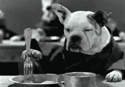 🐶 Can Dogs Thrive on a Vegetarian Diet?