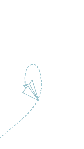 Travel Sticker