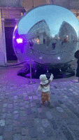 200.gif?cid=fc005b08dcf952cbe400d4508e6e847a82413ca0b2bb55f4&rid=200.gif&ct=g