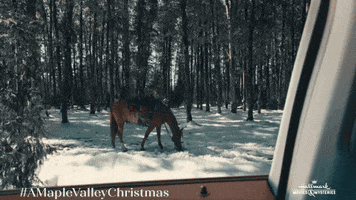 Christmas Snow GIF by Hallmark Mystery