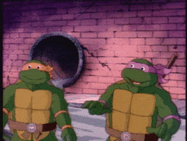 teenage mutant ninja turtles nickelodeon GIF