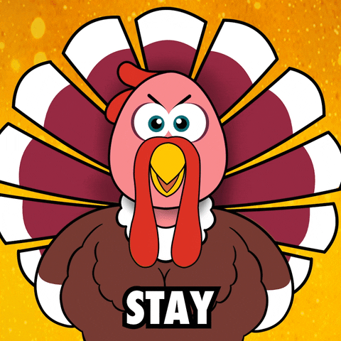Thanksgiving Turkey GIF by VeeFriends