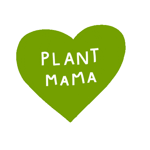 Plant Sticker by Chiara Celini