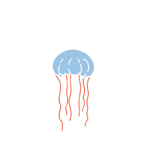 Jellyfish Sticker