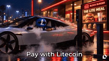 Fast Food Tesla GIF by LitVM