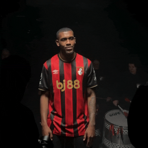 Happy Premier League GIF by AFC Bournemouth
