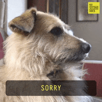 Sorry Oh No GIF by 60 Second Docs
