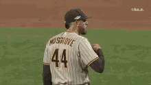Padres GIF