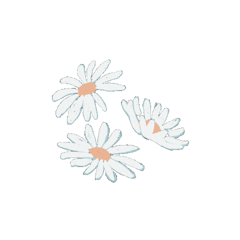 Sticker by Visueliseren