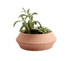 Dzynzone Aksesuar Sticker by Dzynzone