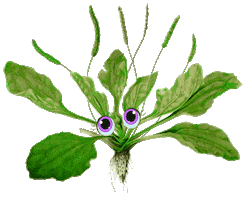 Plant Love Sticker by Bastion Agency Studio Lab