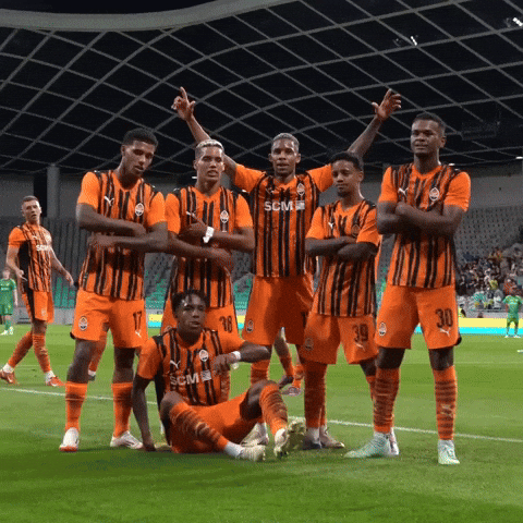 Pedro Henrique Football GIF by FC Shakhtar