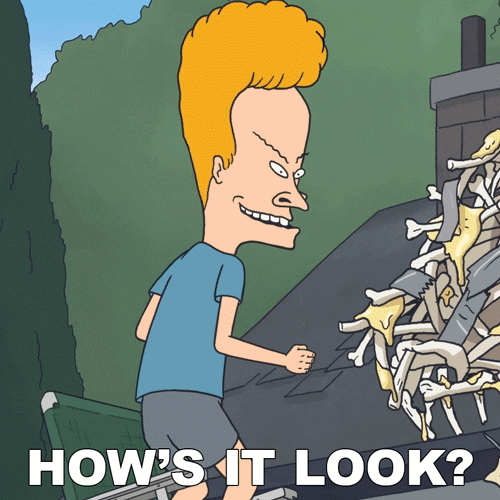 Does It Look Okay Beavis And Butthead GIF by Paramount+