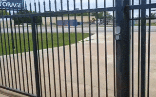 Animated GIF