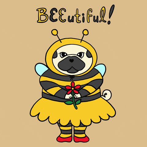 Digital art gif. A pug dog wears a bee costume and holds a red flower as text flashes above head. Text, "Beeutiful!" 