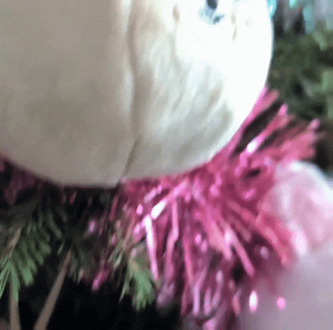 Christmas Tree GIF