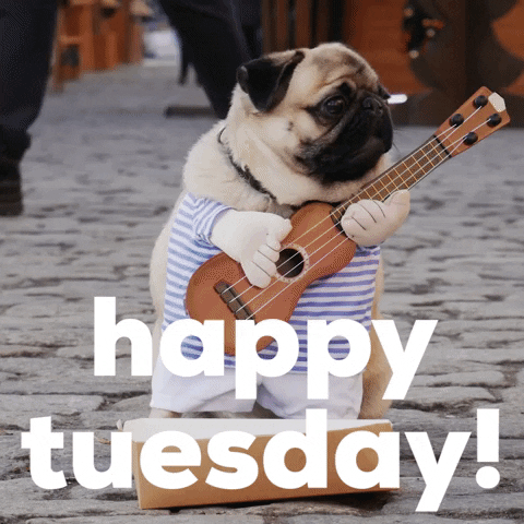 Tuesday Morning Dog Gif By Sealed With A GIF - Find & Share on GIPHY