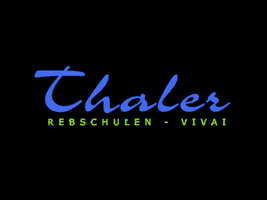 Thaler_Rebschule plants grapes nursery thaler GIF