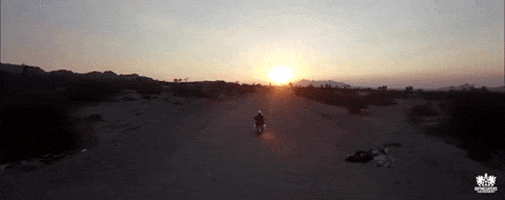 sunset ride GIF by Rhymesayers