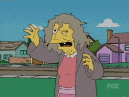 the simpsons crazy cat lady GIF