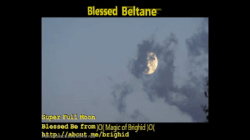 witchcraft halloween witch gothic paranormal GIF