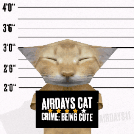 Cat Crime GIF