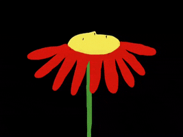 Rain Flower GIF by Barbara Pozzi