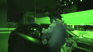 Bear Model GIF by Hallwood Media