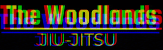 woodlandsjiujitsu the woodlands woodlandsjiujitsu the woodlands jiu jitsu thewoodlandsjiujitsu GIF