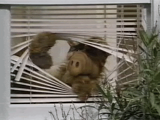 History Channel GIF - Find & Share on GIPHY