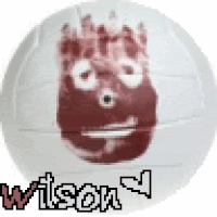 wilson