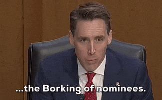 Senate Judiciary Committee Bork GIF by GIPHY News