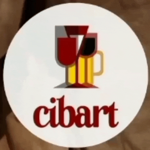 cibart srl GIF