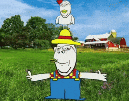 Meme GIF