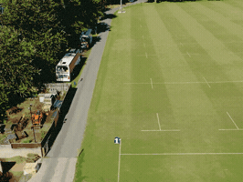 Awesome Line GIF by Turf Tank