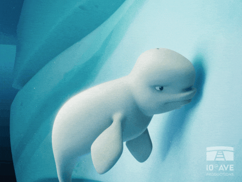 Beluga GIF - Find & Share on GIPHY