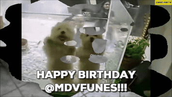 chixie89 #happy #birthday #4life #ds106dc GIF