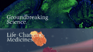GIF by Scripps Research