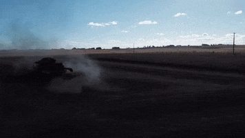 Sementes Cerquinha GIF