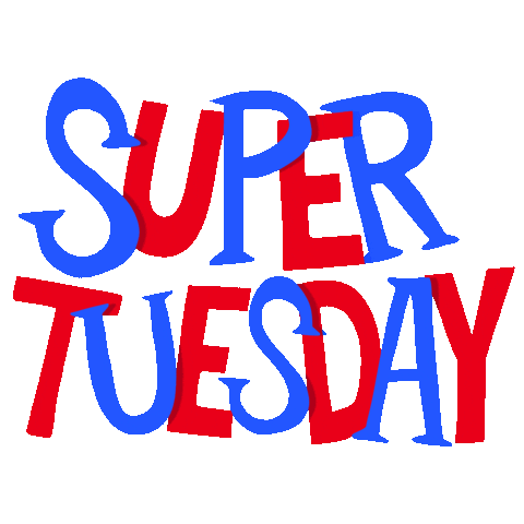 Voting Super Tuesday Sticker by megan lockhart