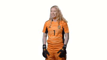 Hedvig Lindahl Sport GIF by Swedish Football Association