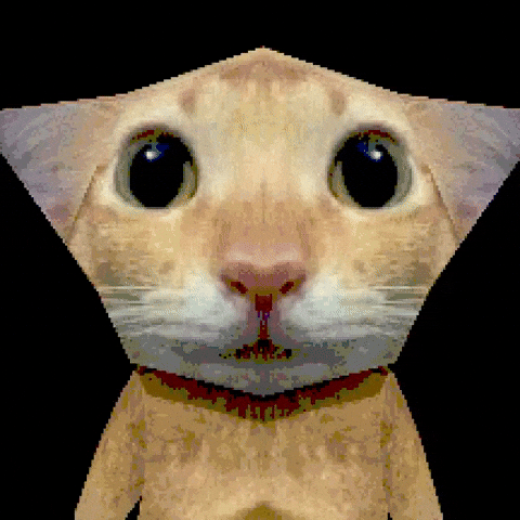 Cat Scream GIF