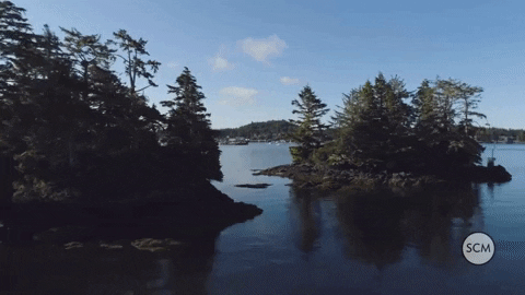 West Coast Bc GIF by Smart City Media - Find & Share on GIPHY